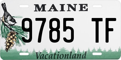 ME license plate 9785TF