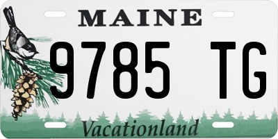 ME license plate 9785TG