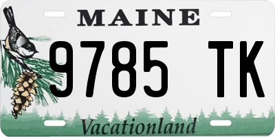 ME license plate 9785TK
