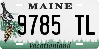 ME license plate 9785TL