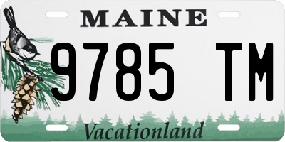 ME license plate 9785TM