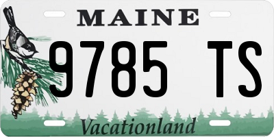 ME license plate 9785TS