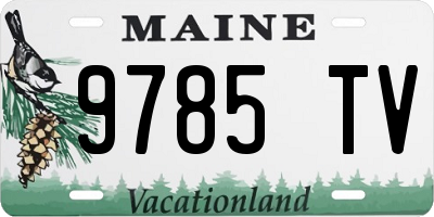 ME license plate 9785TV