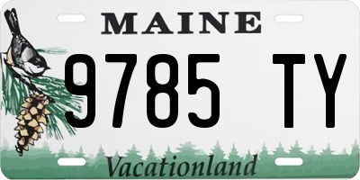 ME license plate 9785TY