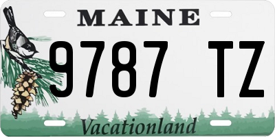 ME license plate 9787TZ