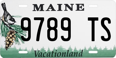 ME license plate 9789TS