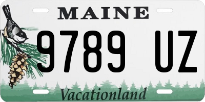 ME license plate 9789UZ