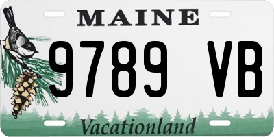 ME license plate 9789VB