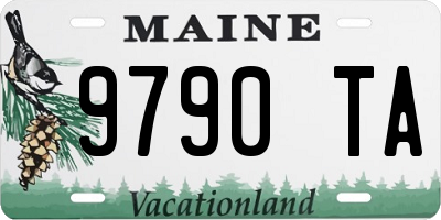 ME license plate 9790TA