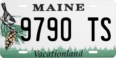 ME license plate 9790TS