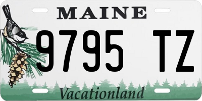 ME license plate 9795TZ