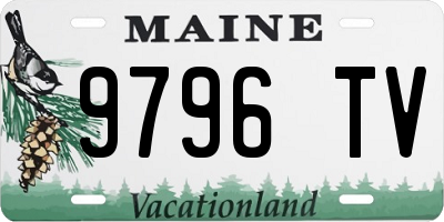 ME license plate 9796TV