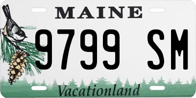 ME license plate 9799SM