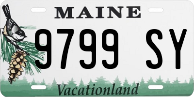 ME license plate 9799SY
