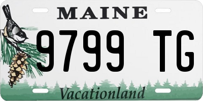 ME license plate 9799TG