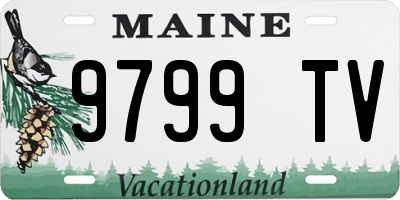 ME license plate 9799TV
