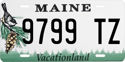 ME license plate 9799TZ