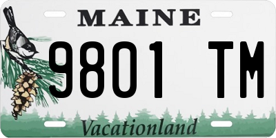ME license plate 9801TM
