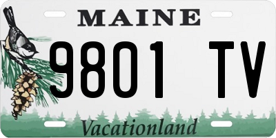 ME license plate 9801TV