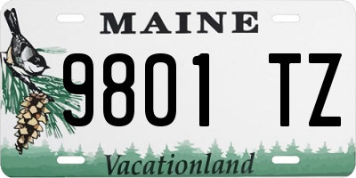 ME license plate 9801TZ