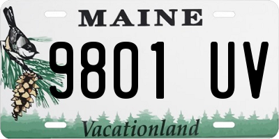 ME license plate 9801UV