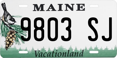 ME license plate 9803SJ