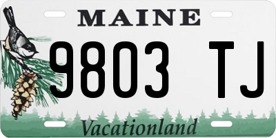 ME license plate 9803TJ