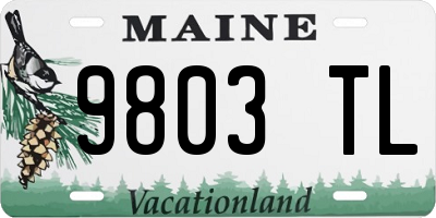 ME license plate 9803TL