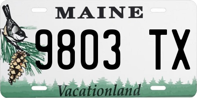 ME license plate 9803TX