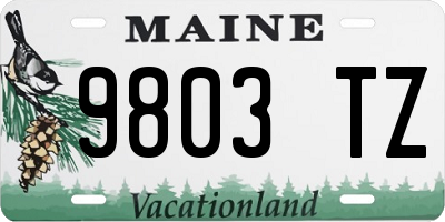 ME license plate 9803TZ