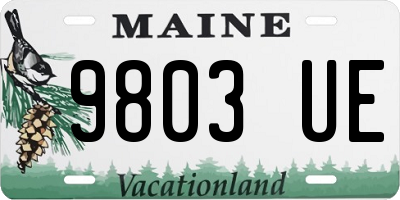 ME license plate 9803UE