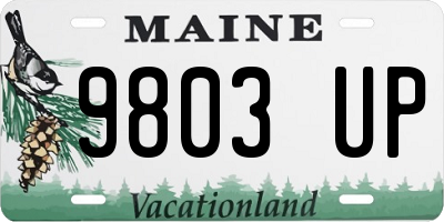 ME license plate 9803UP