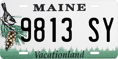 ME license plate 9813SY