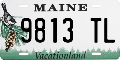 ME license plate 9813TL