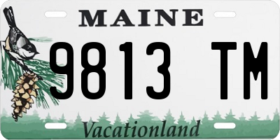 ME license plate 9813TM