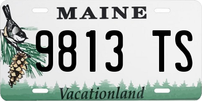 ME license plate 9813TS