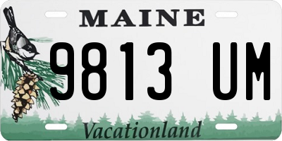 ME license plate 9813UM