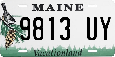 ME license plate 9813UY