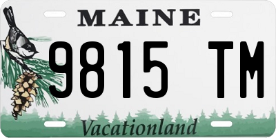ME license plate 9815TM