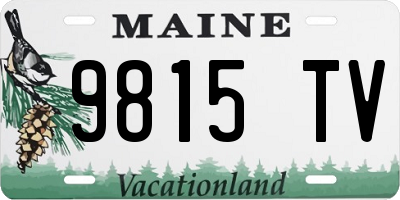 ME license plate 9815TV