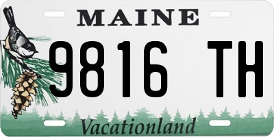 ME license plate 9816TH
