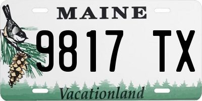ME license plate 9817TX