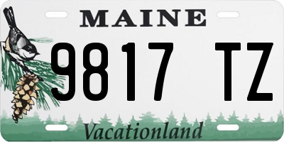 ME license plate 9817TZ