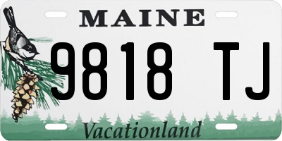 ME license plate 9818TJ