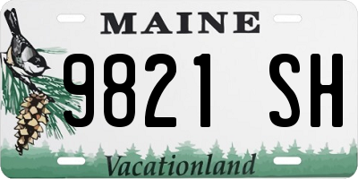 ME license plate 9821SH