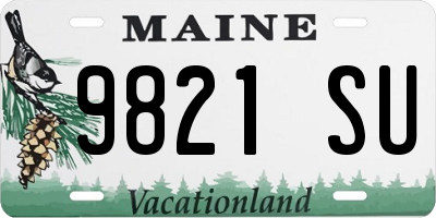 ME license plate 9821SU
