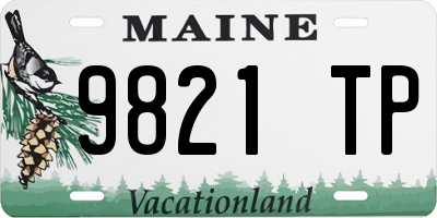 ME license plate 9821TP