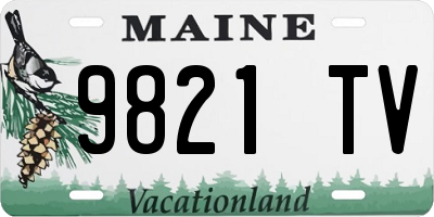 ME license plate 9821TV