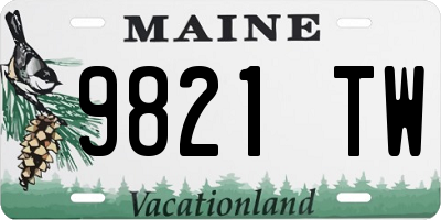 ME license plate 9821TW