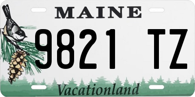 ME license plate 9821TZ